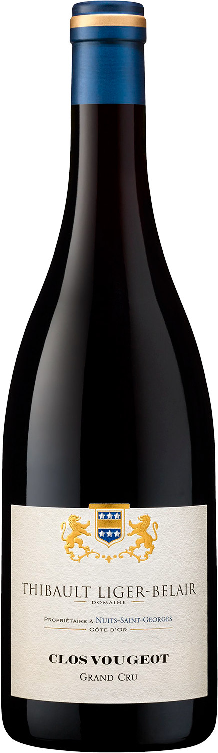 Вино Красное Сухое Thibault Liger-Belair Clos Vougeot Grand Cru 2021 0,75 л фото