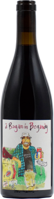 Вино Красное Сухое Mark Haisma Bogan In Bogandy Coteaux Bourguignons 2022 0,75 л фото