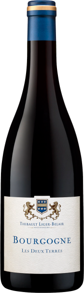 Вино Красное Сухое Thibault Liger-Belair Les Deux Terres Bourgogne 2021 0,75 л фото