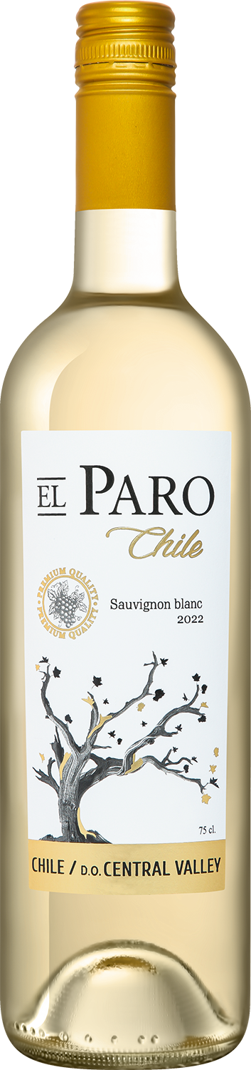 Вино Белое Сухое Vina del Pedregal El Paro Sauvignon Blanc Central Valley 2023 0,75 л фото