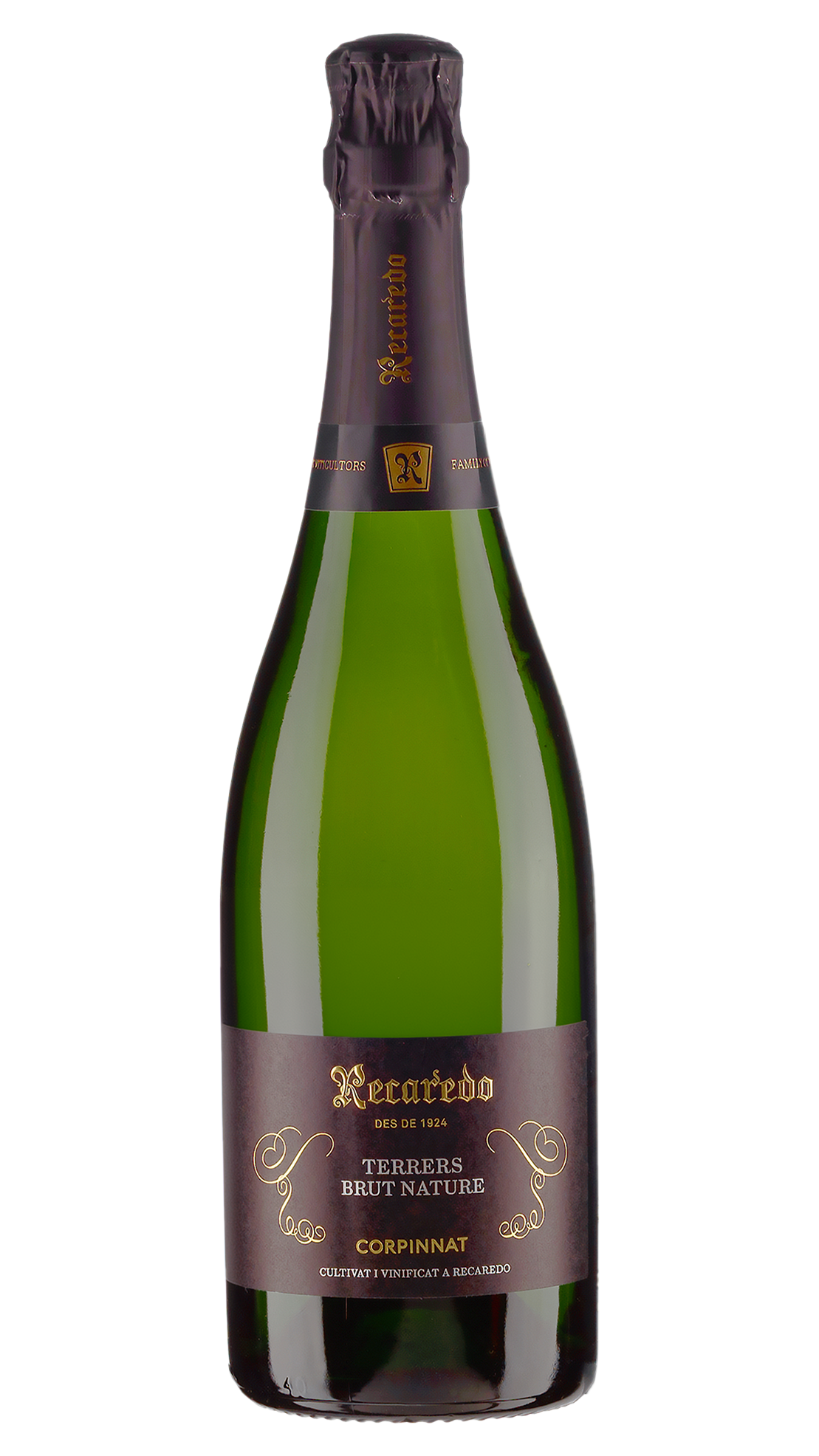Вино игристое Белое Брют Recaredo Terrers Brut Nature 2020 0,75 л фото