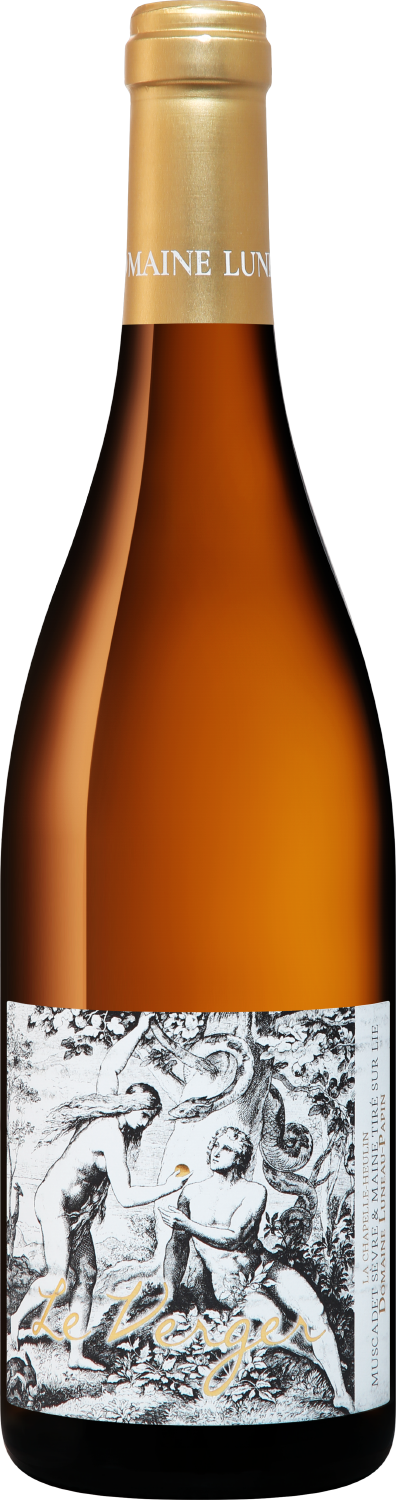 Вино Белое Сухое Domaine Pierre Luneau-Papin Le Verger Muscadet Sevre et Maine 2022 0,75 л фото
