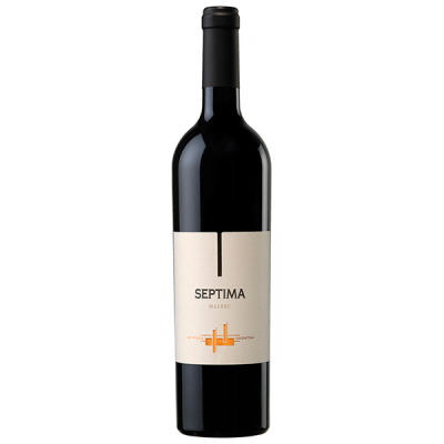 Вино Красное Сухое Septima Malbec Mendoza 2021 0,75 л фото