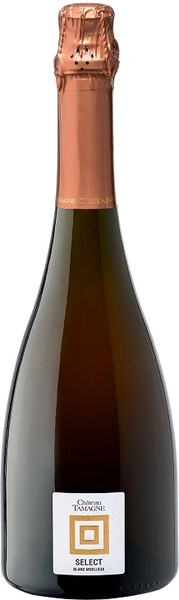 Вино игристое Белое Полусладкое Chateau Tamagne Select Blanc Semi-sweet 0,75 л фото