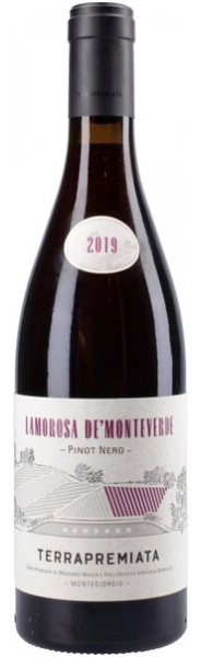 Вино Красное Сухое TerraPremiata Lamorosa de'Monteverde Pinot Nero Marche 2019 0,75 л фото
