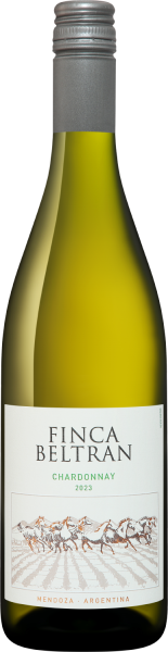 Вино Белое Сухое Finca Beltran Chardonnay Mendoza 2023 0,75 л фото