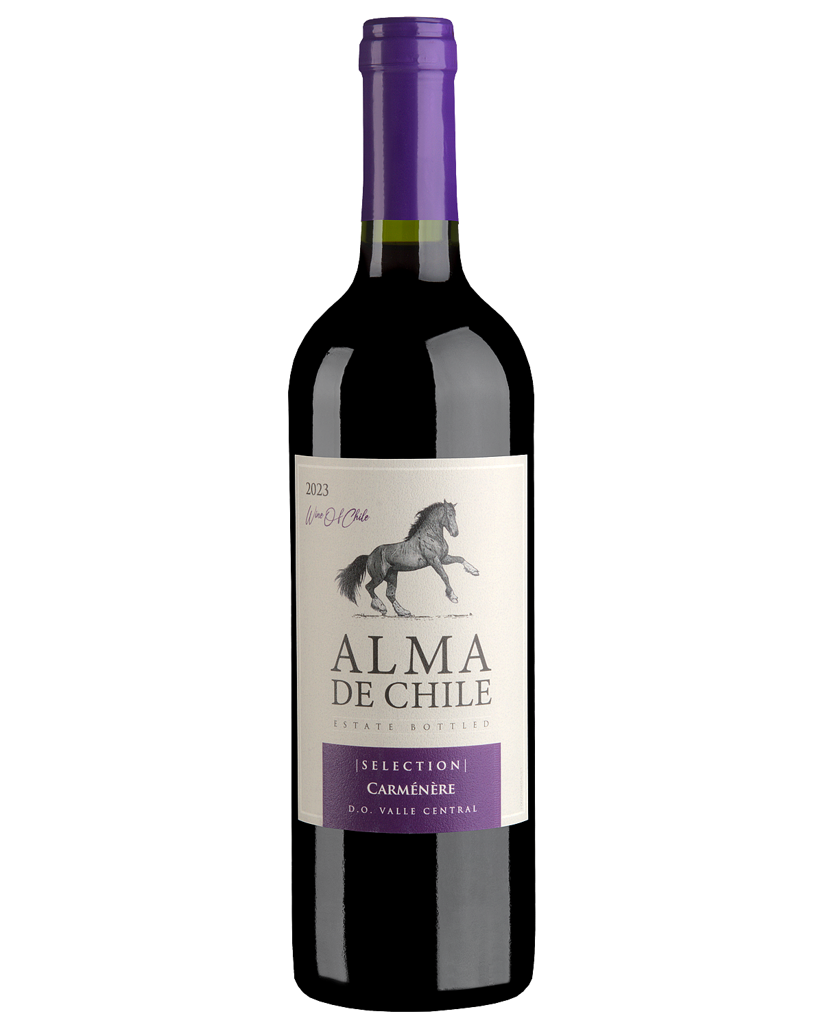 Вино Красное Сухое Alma de Chile Carmenere 2023 0,75 л фото