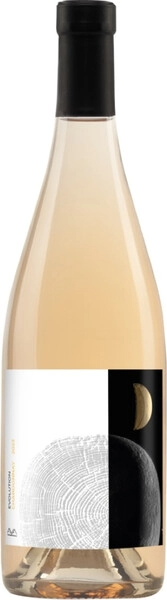 Вино Белое Сухое Aya Evolution Chardonnay 2024 0,75 л фото