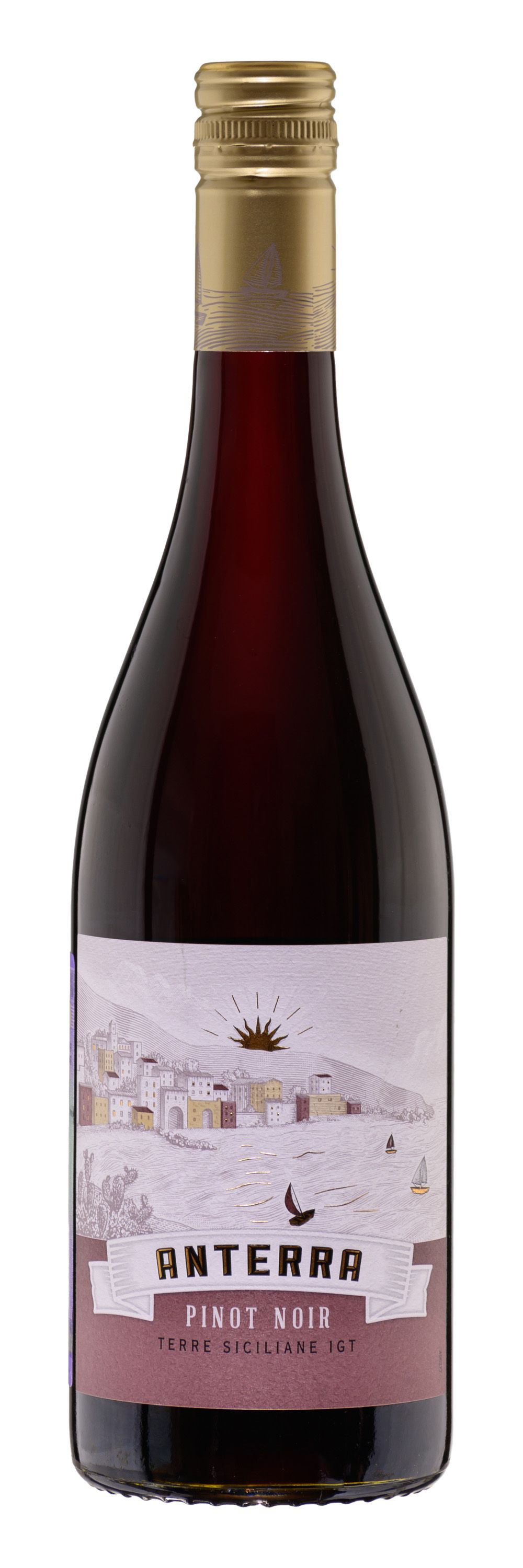 Вино Красное Полусухое Anterra Pinot Noir 2023 0,75 л фото