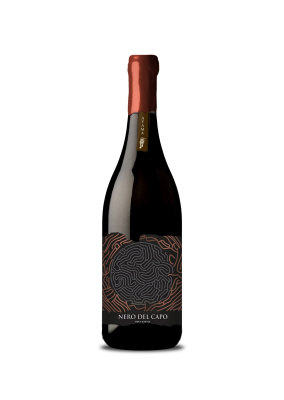 Вино Красное Сухое Ayama Nero del Capo Nero d’Avola 2024 0,75 л фото
