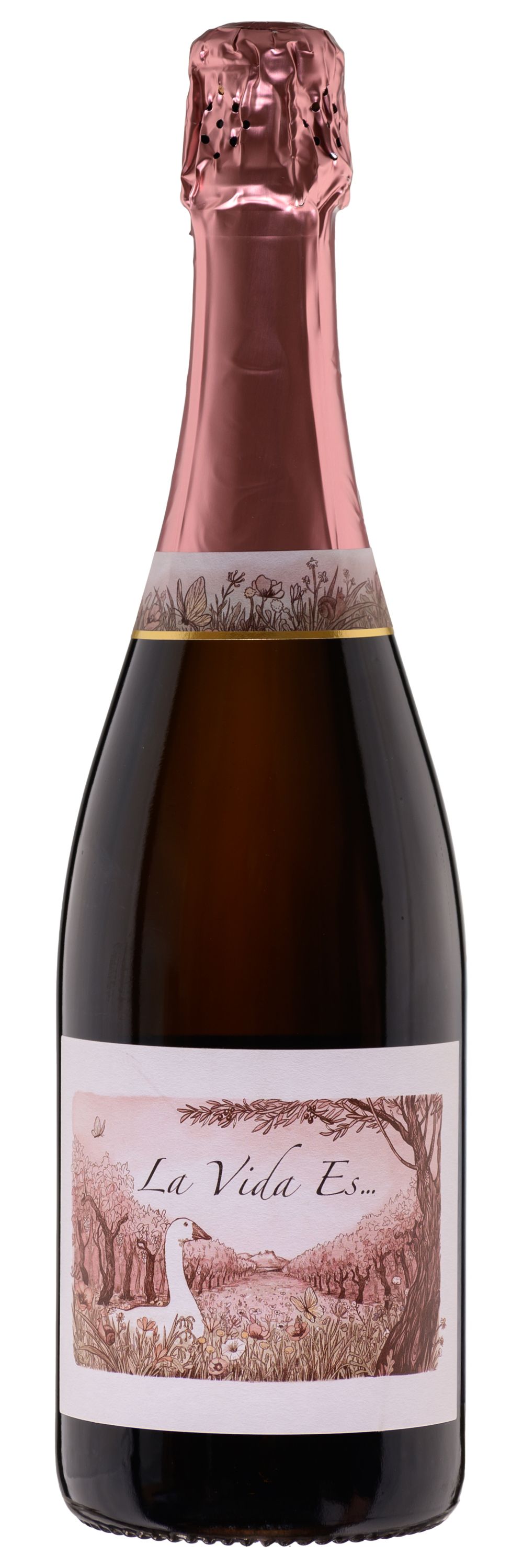 Вино игристое Розовое Брют Castelo de Pedregosa La Vida es Reserva Brut Rose 2021 0,75 л фото