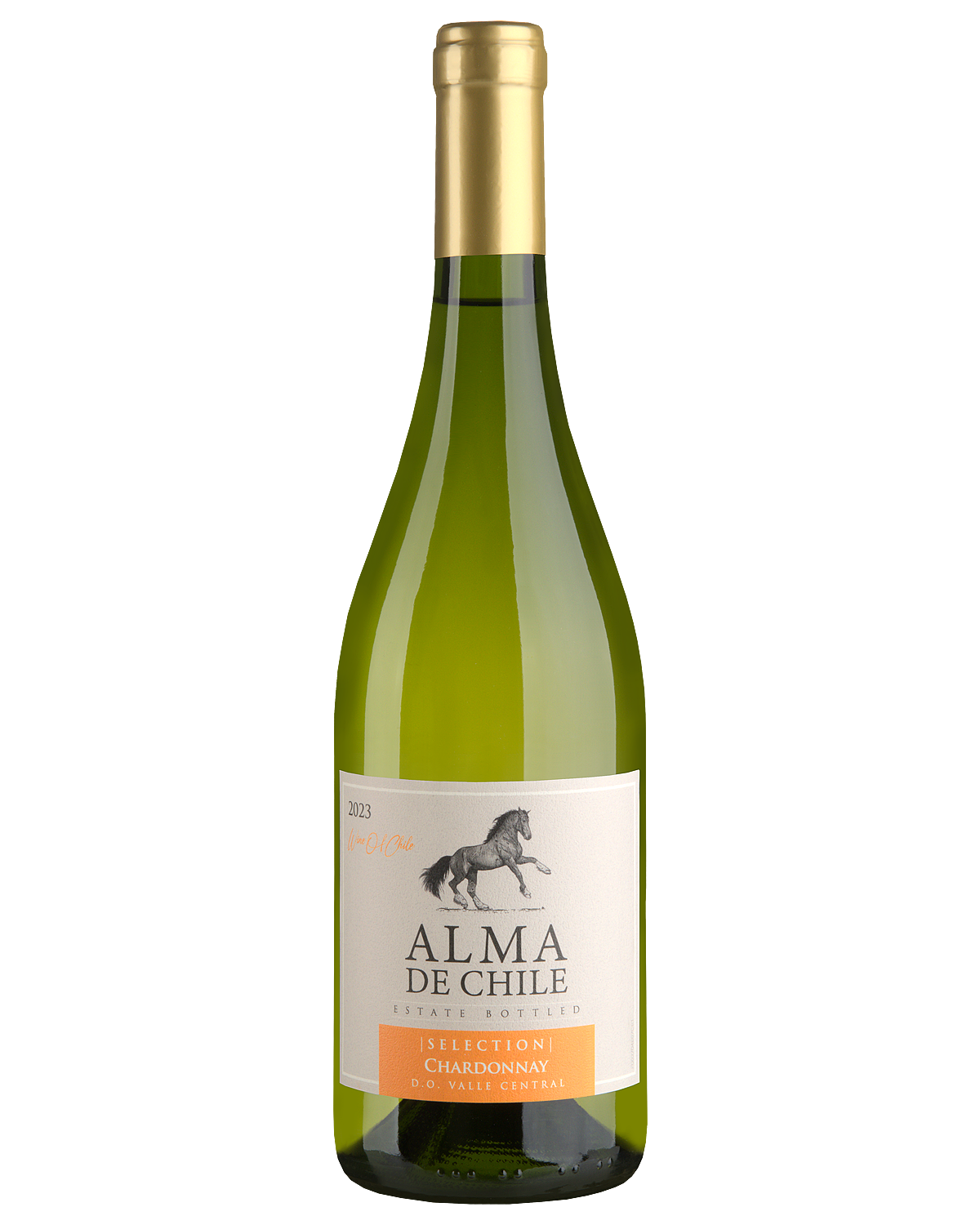 Вино Белое Сухое Alma de Chile Chardonnay 2023 0,75 л фото