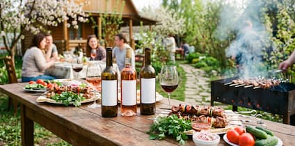 Вино под шашлык проверенные сорта для пикника и застолья - picture