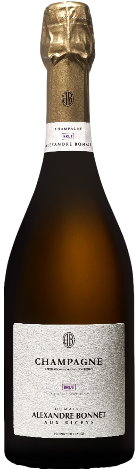 Вино игристое Alexandre Bonnet Brut Champagne 0,75 л фото