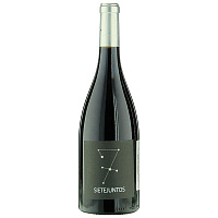 Вино Красное Сухое Microbio Sietejuntos Merlot Castilla y Leon 2018 0,75 л фото