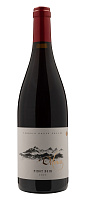 Вино Красное Сухое Domaine Delmas Pinot Noir 2023 0,75 л фото