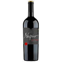 Вино Красное Сухое Napier Red Medallion Wellington 2017 0,75 л фото