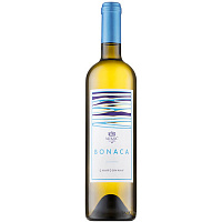 Вино Белое Сухое Aleksic Bonaca Chardonnay 2021 0,75 л фото