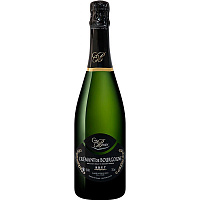 Вино игристое Белое Брют Cave de Bissey Cremant de Bourgogne Brut 0,75 л фото