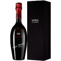 Вино игристое Белое Экстра Брют Nuria Claverol Homenatge Cava in gift box 0,75 л фото