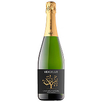 Вино игристое Белое Экстра Брют Vidadelsur Brut Nature Cava 0,75 л фото