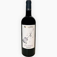 Вино Красное Сухое Fattoria Pagano Aglianico Campania 2023 0,75 л фото