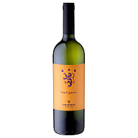 Вино Белое Сухое Antonutti Sauvignon Friuli Grave 2022 0,75 л фото