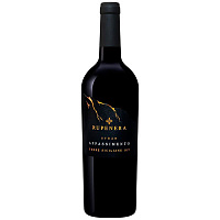 Вино Красное Полусухое Settesoli Rupenera Syrah Appassimento Terre Siciliane 2021 0,75 л фото