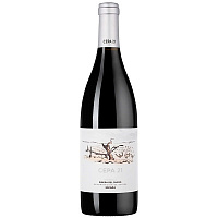 Вино Красное Сухое Cepa 21 Ribera Del Duero 2021 0,75 л фото