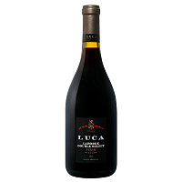 Вино Красное Сухое Luca Laborde Double Select Syrah Uco Valley 2020 0,75 л фото