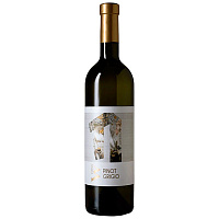 Вино Белое Сухое Virtus Pinot Grigio 2021 0,75 л фото