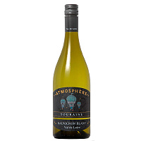Вино Белое Сухое Pierre Chainier Atmosphere Sauvignon Blanc 2021 0,75 л фото