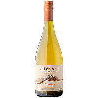 Вино Белое Сухое Volcanes Tectonia Chardonnay Malleco Valley 2019 0,75 л фото