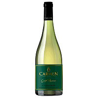 Вино Белое Сухое Carmen Gran Reserva Sauvignon Blanc Colchagua Valley 2019 0,75 л фото