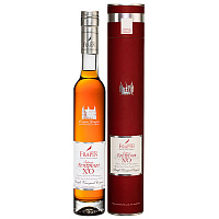 Коньяк Frapin Domaine Chateau de Fontpinot XO Grande Champagne in tube 0,35 л фото