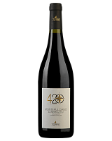 Вино Красное Сухое Cantine Torri 4 20 Montepulciano d'Abruzzo 2022 0,75 л фото