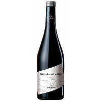 Вино Красное Сухое Ponte da Boga Bancales Olvidados Mencia Ribeira Sacra 2019 0,75 л фото
