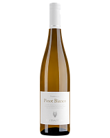 Вино Белое Сухое Cantina d'Isera Pinot Bianco Trentino 2021 0,75 л фото