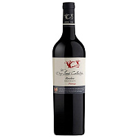 Вино Красное Сухое The Dry Land Collection Resolve Pinotage Paarl 2020 0,75 л фото