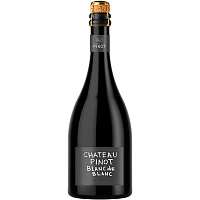 Вино игристое Белое Экстра Брют Chateau Pinot Blanc de Blanc Kuban 2021 0,75 л фото