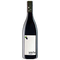 Вино Красное Сухое Weingut R&A Pfaffl Austrian Plum Niederosterreich 2022 0,75 л фото