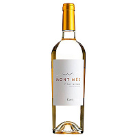 Вино Белое Сухое Castelfeder Mont Mes Pinot Grigio Vigneti delle Dolomiti 2020 0,75 л фото