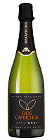 Вино игристое Белое Брют Dos Caprichos Cava 2023 0,75 л фото