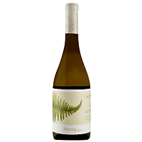 Вино Белое Сухое Fento Albarino Rias Baixas 2024 0,75 л фото