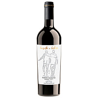 Вино Красное Полусухое Buseta e Boton Rosso Passito Veneto 2018 0,75 л фото