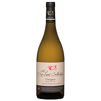 Вино Белое Сухое The Dry Land Collection Courageous Barrel Fermented Chenin Blanc Paarl 2022 0,75 л фото