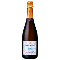 Вино игристое Белое Сухое Michel Loriot Apollonis Palmyre Brut Nature Champagne 2016 0,75 л фото
