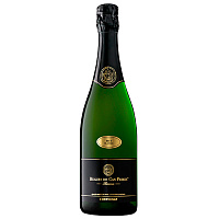 Вино игристое Белое Брют Huguet de Can Feixes Corpinnat Reserva Brut Classic 2013 0,75 л фото