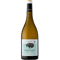 Вино Белое Полусухое Finca Valdelagunde Cuvee Especial Verdejo Castilla y Leon 2023 0,75 л фото