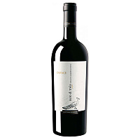 Вино Красное Полусухое Cantina Diomede Canace Nero di Troia Puglia 2019 0,75 л фото